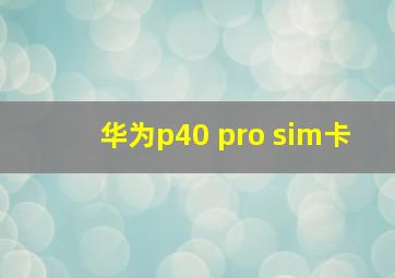 华为p40 pro sim卡